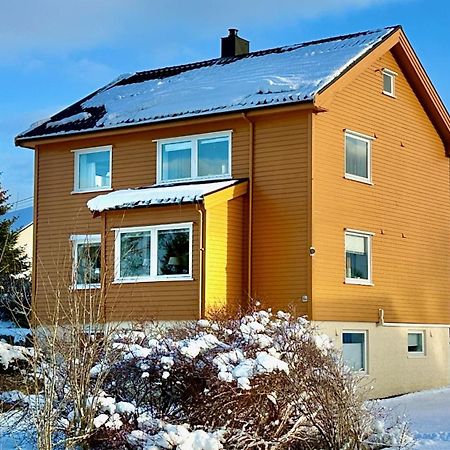 Nonstinden View Lofoten バルスタ エクステリア 写真
